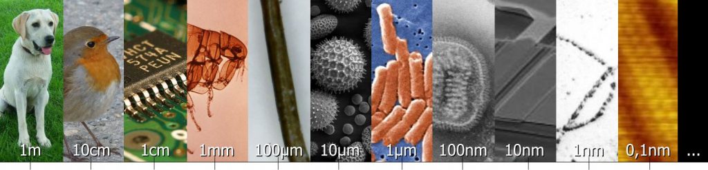 WSR035 Bilder des CoronaVirus, epidemiologische R0Modellierung und