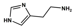 Struktur von Histamin.