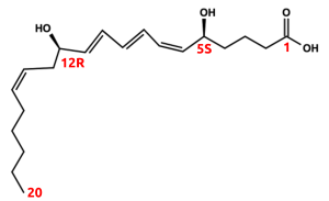 Struktur von Leukotrien B4.