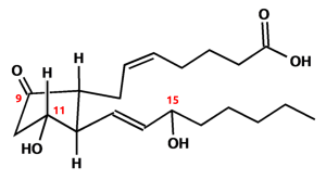 Struktur von Prostaglandin E2.