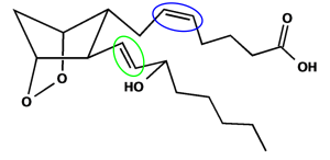 Struktur von Prostaglandin H2.