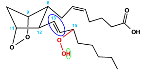 Struktur des Prostaglandin G2.