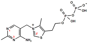 Struktur von Thiaminpyrophosphat (TPP).