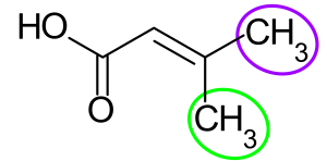 Methylcrotonsäure, die Methylgruppe in trans-Position zur Carboxylgruppe ist violett markiert, während die Methylgruppe in cis-Position grün hervorgehoben ist.