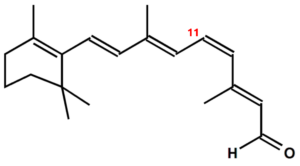 1-cis-Retinal