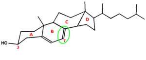 Struktur von 7-Dehydrocholesterol.