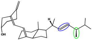 Struktur von Vitamin D2 (Ergocalciferol). 