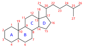 Struktur des Steroidgerüsts mit Nummerierung der Atompositionen (rot) und Benennung der Ringe (blau).