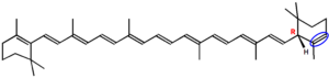Struktur von alpha-Carotin.