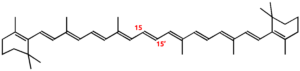 Struktur von beta-Carotin.